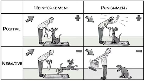 Skinner’s Operant Conditioning: Rewards & Punishments - Sprouts ...