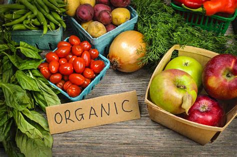 Where To Get More Organic Food Recipes