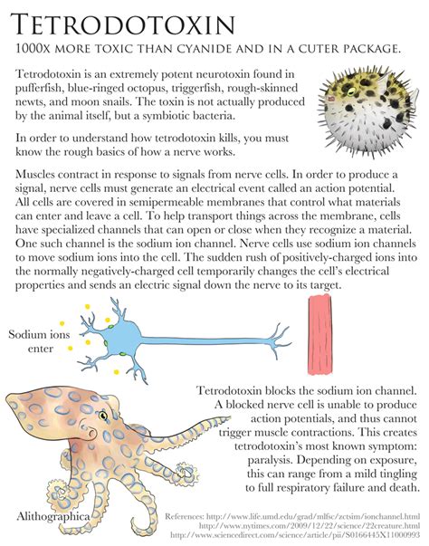 Science Fact Friday: Tetrodotoxin by Alithographica on DeviantArt