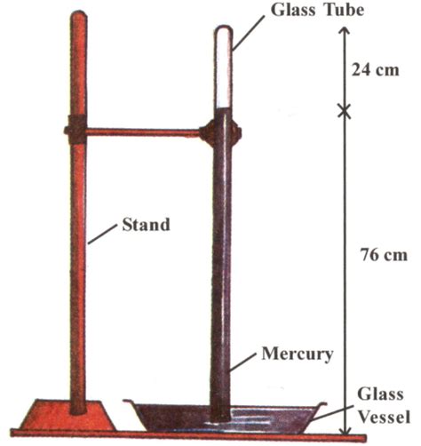 Draw a diagram of a mercury barometer