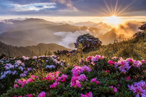 mountains, landscape, nature, clouds, sky, grass, sunrise, flowers ...