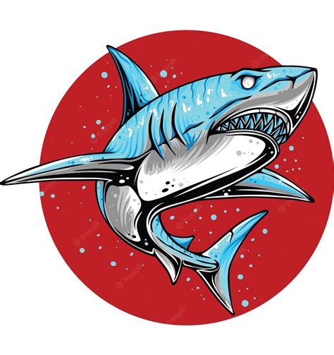 Premium Vector | Shark logo vector illustration