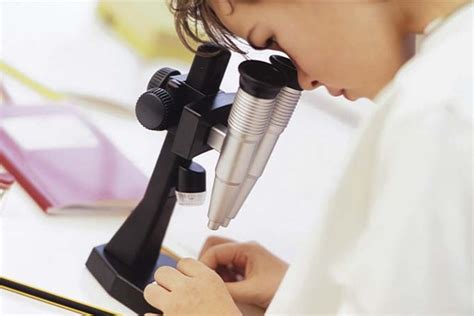 How to Estimate the Field of View of a Microscope - New York Microscope ...