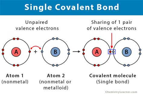 Single Covalent Bond: Definition and Examples