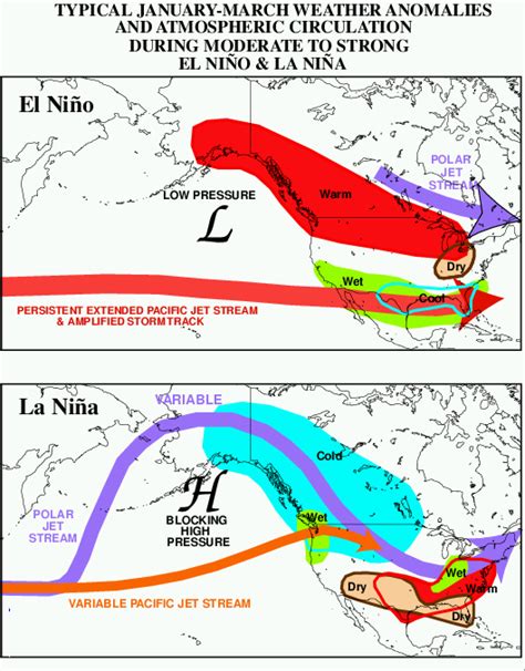 Effects of the El Niño–Southern Oscillation in the United States ...