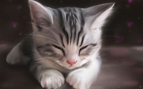 cat, Animals, Artwork, Drawing, Kittens, Sleeping Wallpapers HD ...