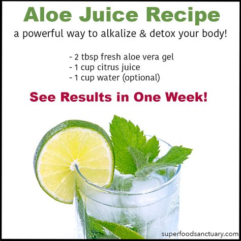 DIY Aloe Vera Juice Recipe - Superfood Sanctuary