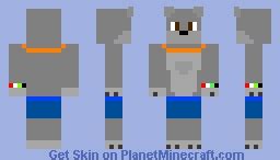 Raky Craft Minecraft Skin