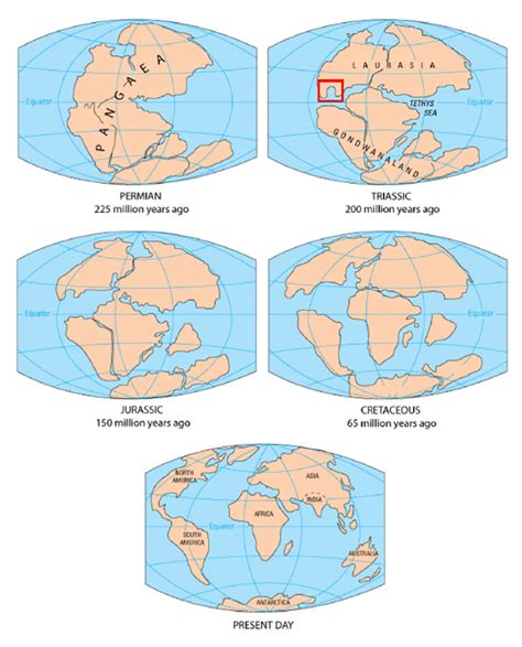 Diagram of continental drift over the past 225 million years. The red ...