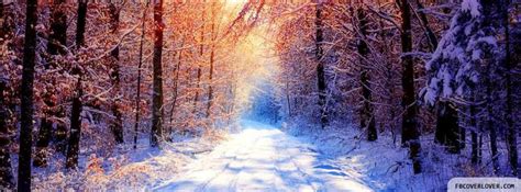 Winter Wonderland Facebook Covers