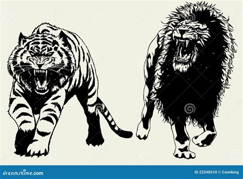 Tiger and Lion stock vector. Illustration of bengal, anger - 22548510