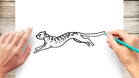 How To Draw A Cheetah Running - Rowwhole3