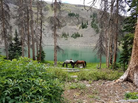 The Colorado Trail Segments Horseback | Limitless Treks