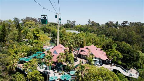 San Diego Zoo – Zoo Review | Condé Nast Traveler