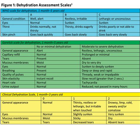 Levels Of Dehydration