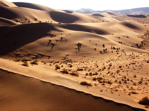 File:Namib Desert Namibia(1).jpg - Wikimedia Commons