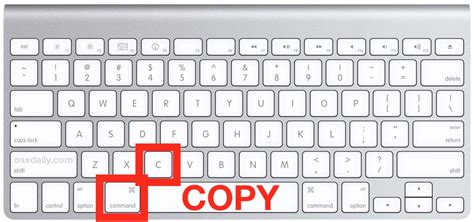 Copy And Paste On MacBook