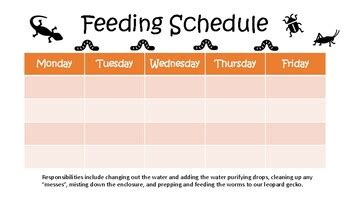 Leopard Gecko Feeding Schedule by Catie's Corner | TPT