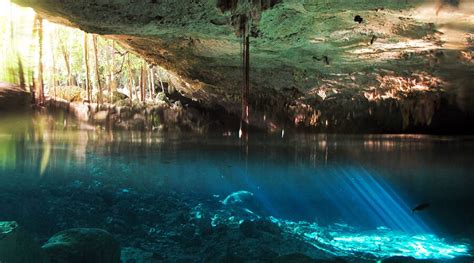 Snorkeling at the Cenotes in México | Cancun Scuba Center