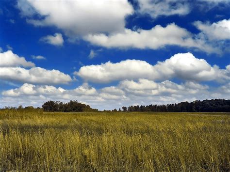 Cumulus cloud - Wikipedia