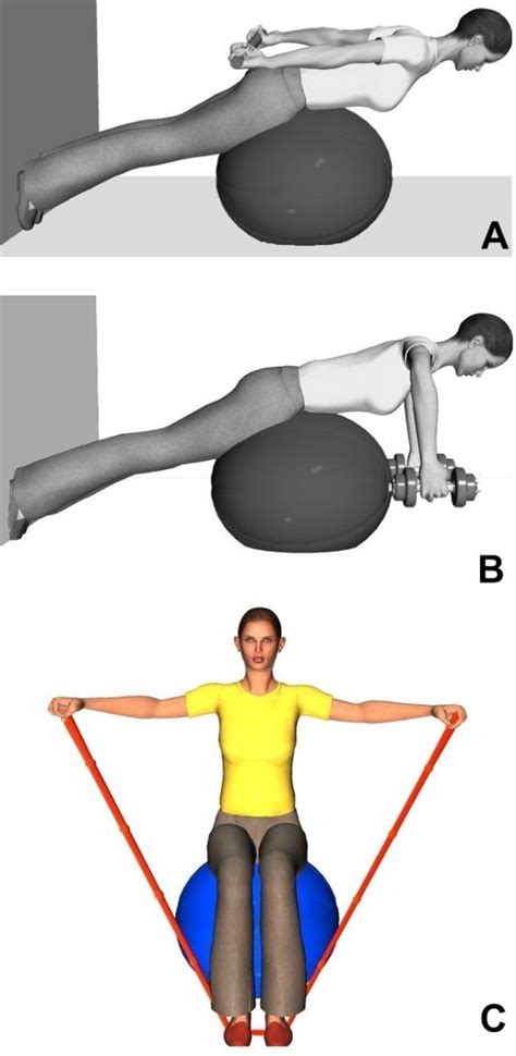 Example of paraspinal, neck and shoulder girdle muscle-strengthening ...