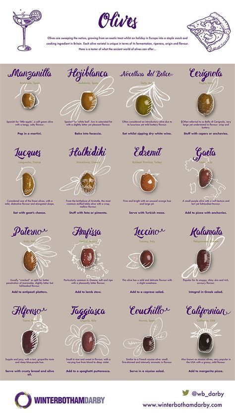 greek olive tree varieties - She Has A Beautiful Blogging Image Database