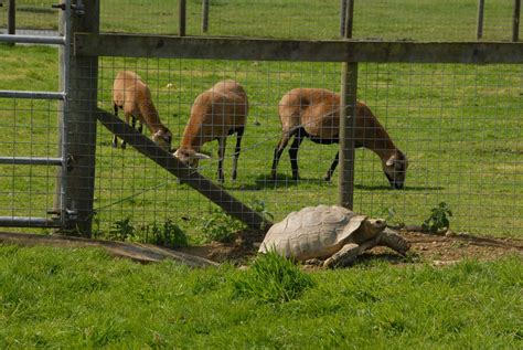 Lake District Wildlife Park Gallery - Visit Cumbria