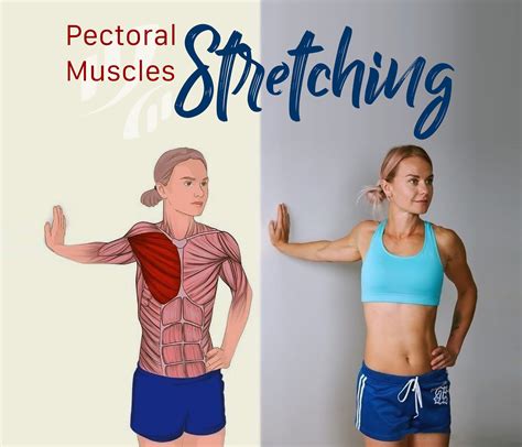 Pectoral Muscles Stretching 🙆‍♀️ Muscles involved: Pectoral muscles and ...