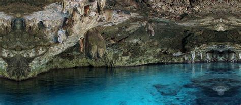 Cult Dive: Cenote Dos Ojos - Alert Diver Magazine | DAN Europe