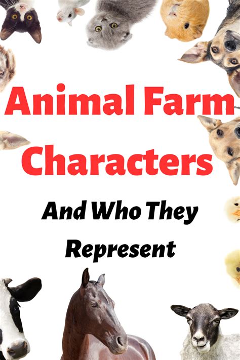 Animal Farm Characters And Who They Represent in 2023 | Animal farm ...