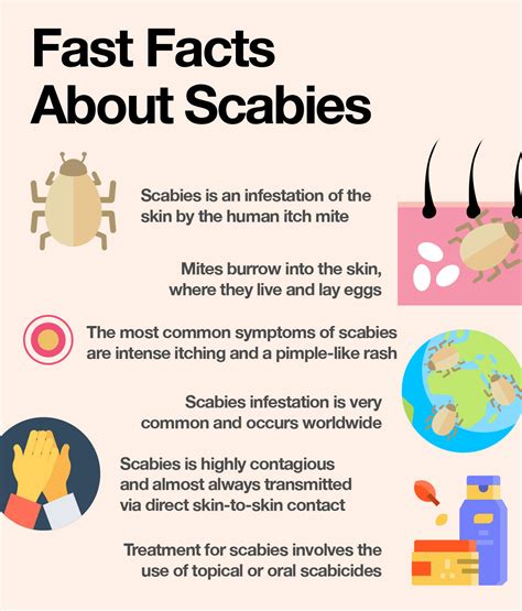 What Is Scabies Scabies Scabies Treatment Eczema Relief | sexiezpix Web ...