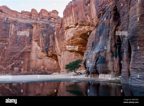 Guelta d'Archei waterhole near oasis, Ennedi Plateau, Chad, Africa ...