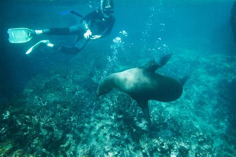 Best of Galapagos Tour