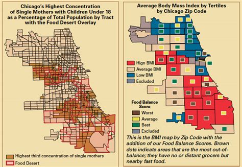 Challenges to the Concept and Effects of the Food Desert – Chicago Magazine
