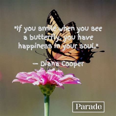 100 Butterfly Quotes - Parade