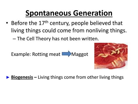 PPT - Spontaneous Generation PowerPoint Presentation, free download ...