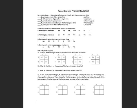 Punnett Squares X Linked Worksheet Answers - Printable Word Searches