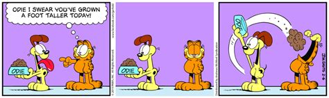 One gets smarter by the day, the other one not so much. | Garfield ...