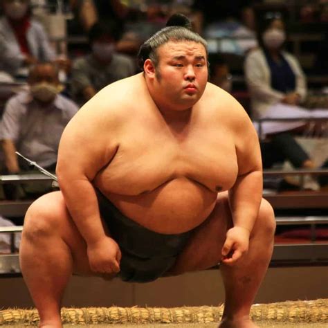 24 Answers About Sumo Wrestlers