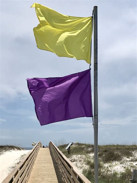 Purple is an important color in the Beach Flag Warning System - Leave ...