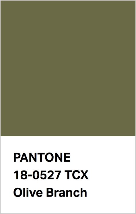 Pantone Shades Of Olive Green - Goimages Super