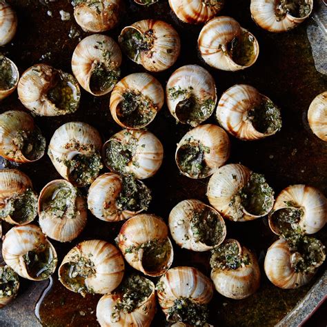 101 Escargot Recipes (With 2024 Updated Recipes)