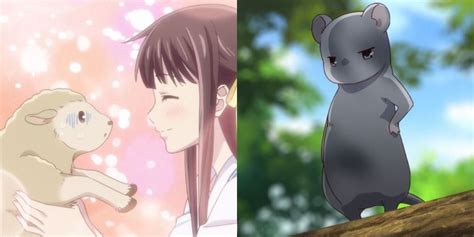 Chinese Zodiac Signs Of Fruits Basket Characters