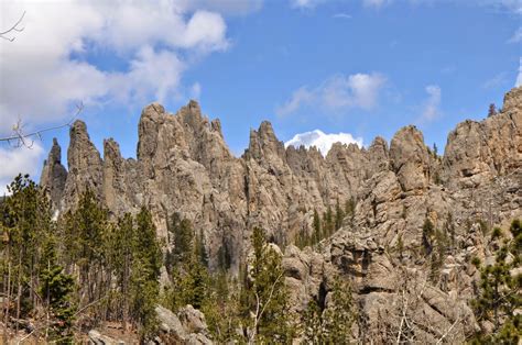 As We Travel: Custer State Park in the Black Hills of South Dakota