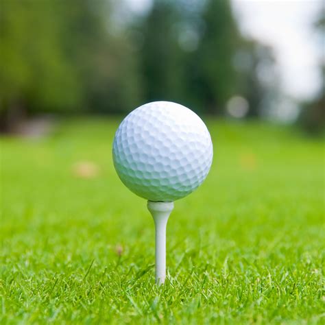 Perry Men’s Golf Outing a Success Thanks to Perry Community - Perry ...