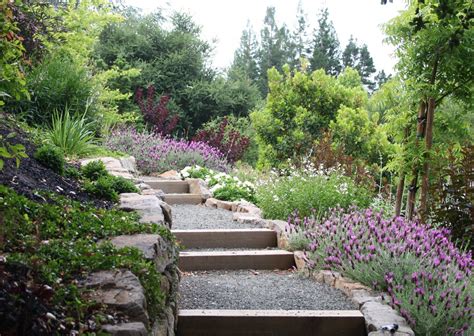 Terraced Landscaping, Dry Stone Wall, Stone Walls, North Garden, Indian ...