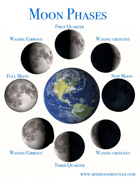 The moon phases and the tutoring of vegetables.