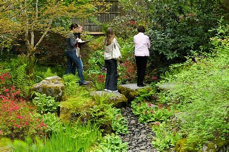 Grant to upgrade Bellevue Botanical Garden database | Bellevue Reporter