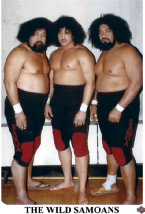 Samoans | Wrestling stars, Pro wrestling, Wrestler