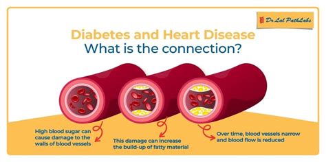 Diabetes and Heart Diseases: How Diabetes Affects The Heart - Dr Lal ...